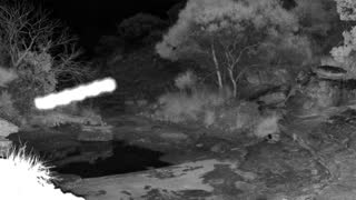 Still 2 from this detection