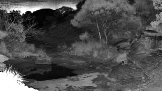 Still 3 from this detection
