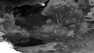 Still 1 from this detection