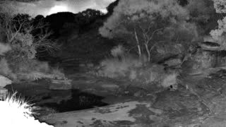 Still 1 from this detection
