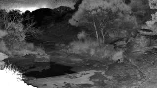 Still 1 from this detection