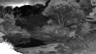 Still 1 from this detection