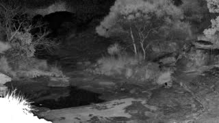 Still 3 from this detection