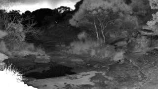 Still 2 from this detection