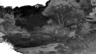 Still 1 from this detection