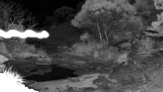 Still 2 from this detection