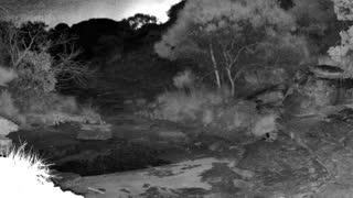 Still 1 from this detection