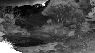 Still 1 from this detection