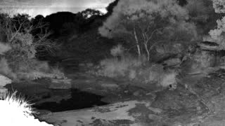 Still 1 from this detection