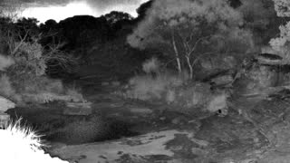 Still 2 from this detection