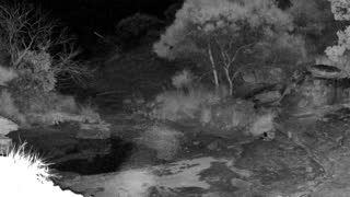 Still 3 from this detection
