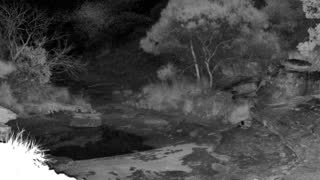 Still 2 from this detection