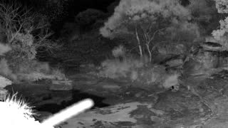 Still 1 from this detection