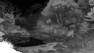 Still 3 from this detection