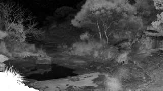 Still 1 from this detection