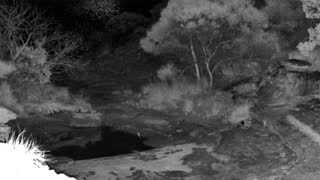Still 3 from this detection