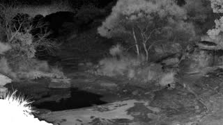 Still 2 from this detection