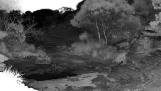 Still 3 from this detection