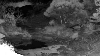 Still 1 from this detection