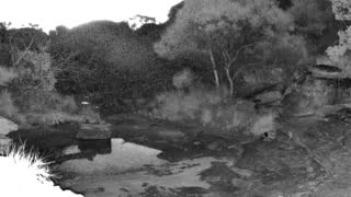 Still 2 from this detection