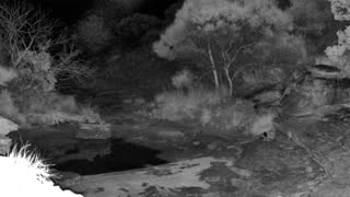 Still 3 from this detection