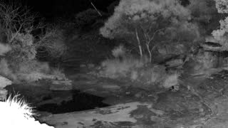 Still 2 from this detection