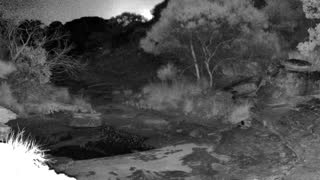 Still 1 from this detection