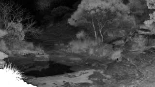 Still 2 from this detection