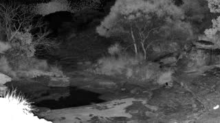 Still 2 from this detection