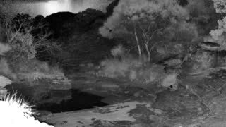 Still 1 from this detection