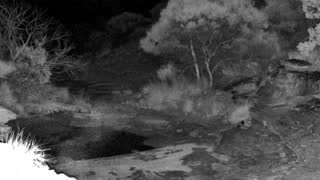 Still 2 from this detection