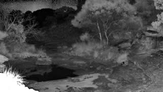 Still 1 from this detection