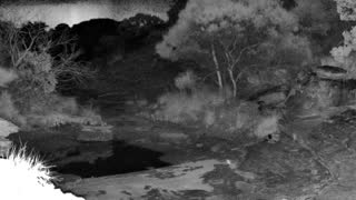 Still 1 from this detection