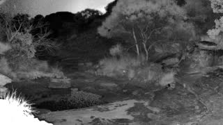 Still 2 from this detection