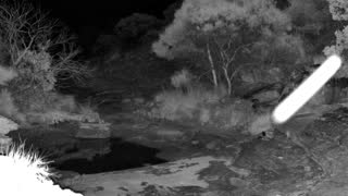 Still 1 from this detection
