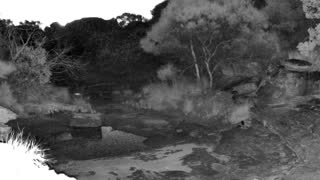 Still 2 from this detection