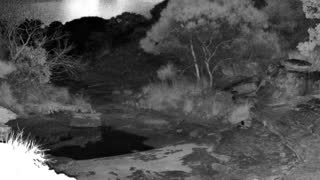 Still 2 from this detection
