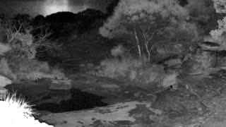 Still 2 from this detection