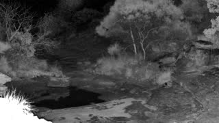 Still 1 from this detection