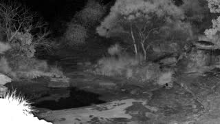 Still 2 from this detection