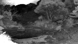 Still 2 from this detection