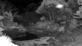 Still 3 from this detection