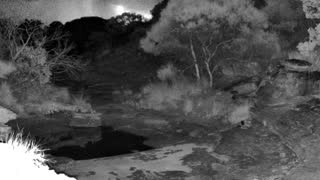 Still 3 from this detection