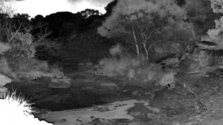 Still 1 from this detection