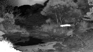 Still 1 from this detection