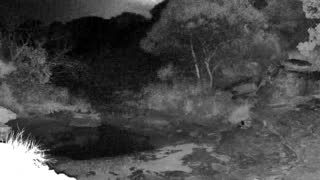 Still 2 from this detection