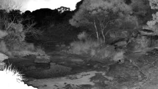 Still 1 from this detection