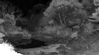 Still 2 from this detection