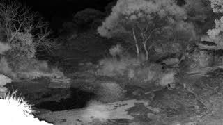 Still 1 from this detection