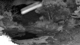 Still 3 from this detection